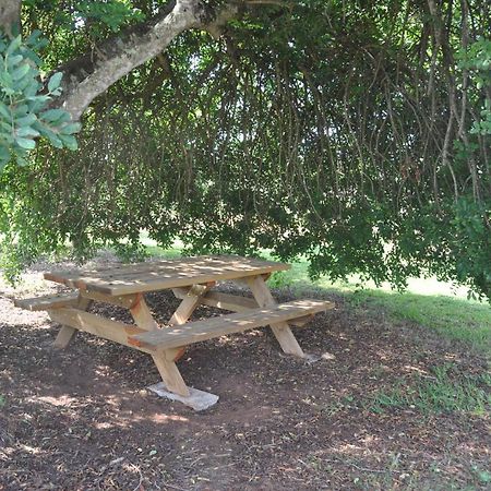 Can Porreti Agroturisme Lloret de Vistalegre Eksteriør bilde